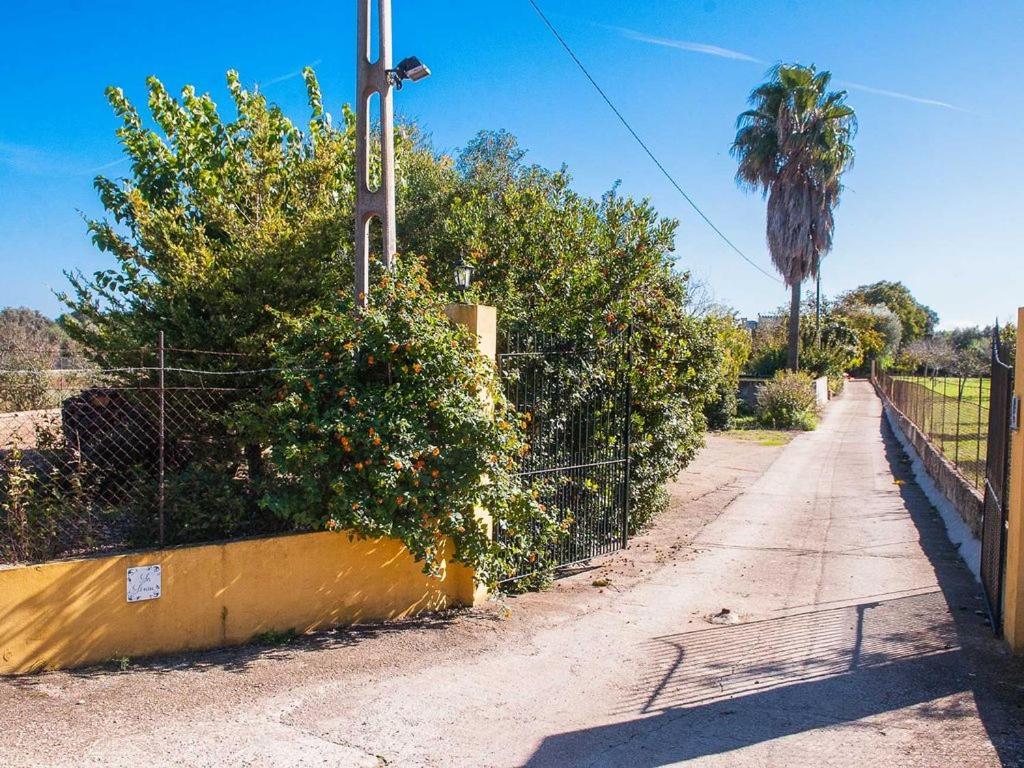 Sa Sini Buger North Of Mallorca Villa